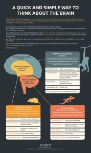 NICABM-Brain-Infographic