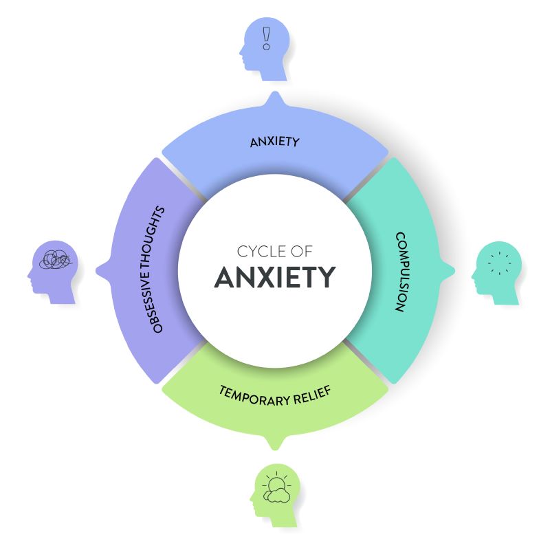 Understanding Anxiety cycle of anxiety